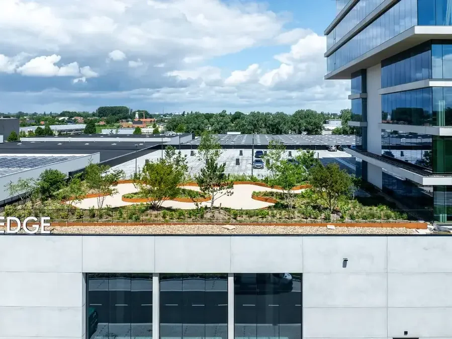 The Edge — Waregem